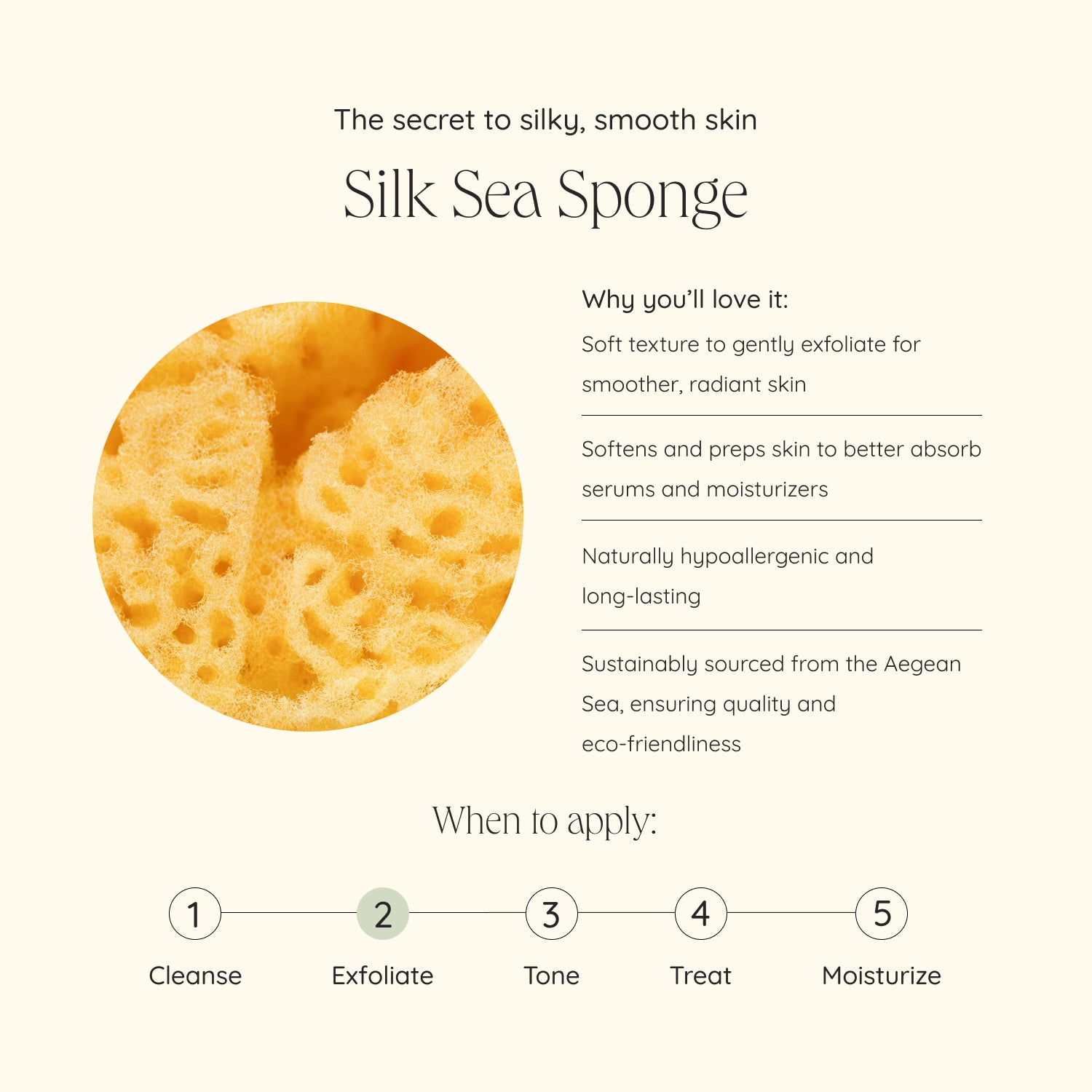 files/SilkSeaSponge.jpg