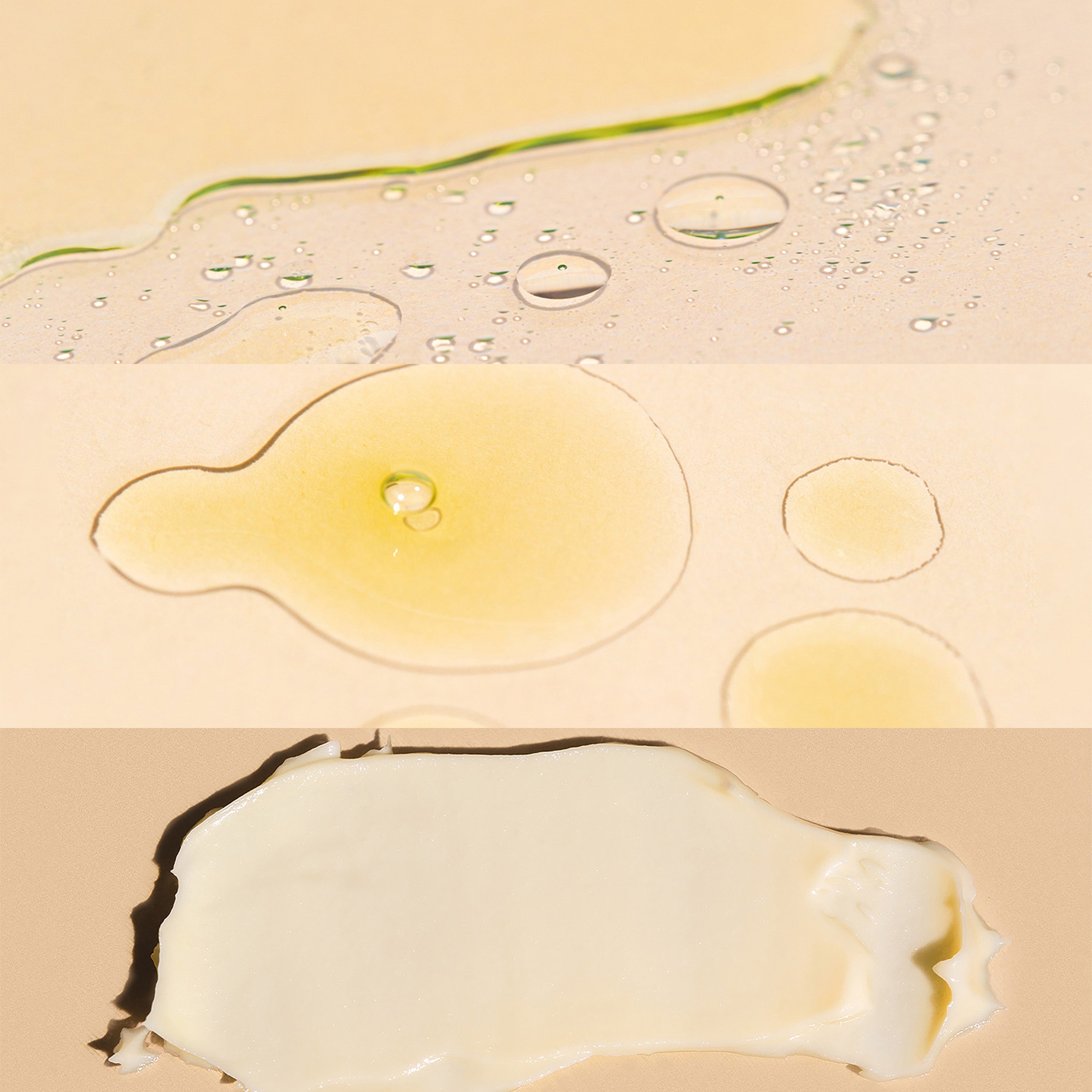 Dry & Mature Skin: Beauty Basics - Wildcraft