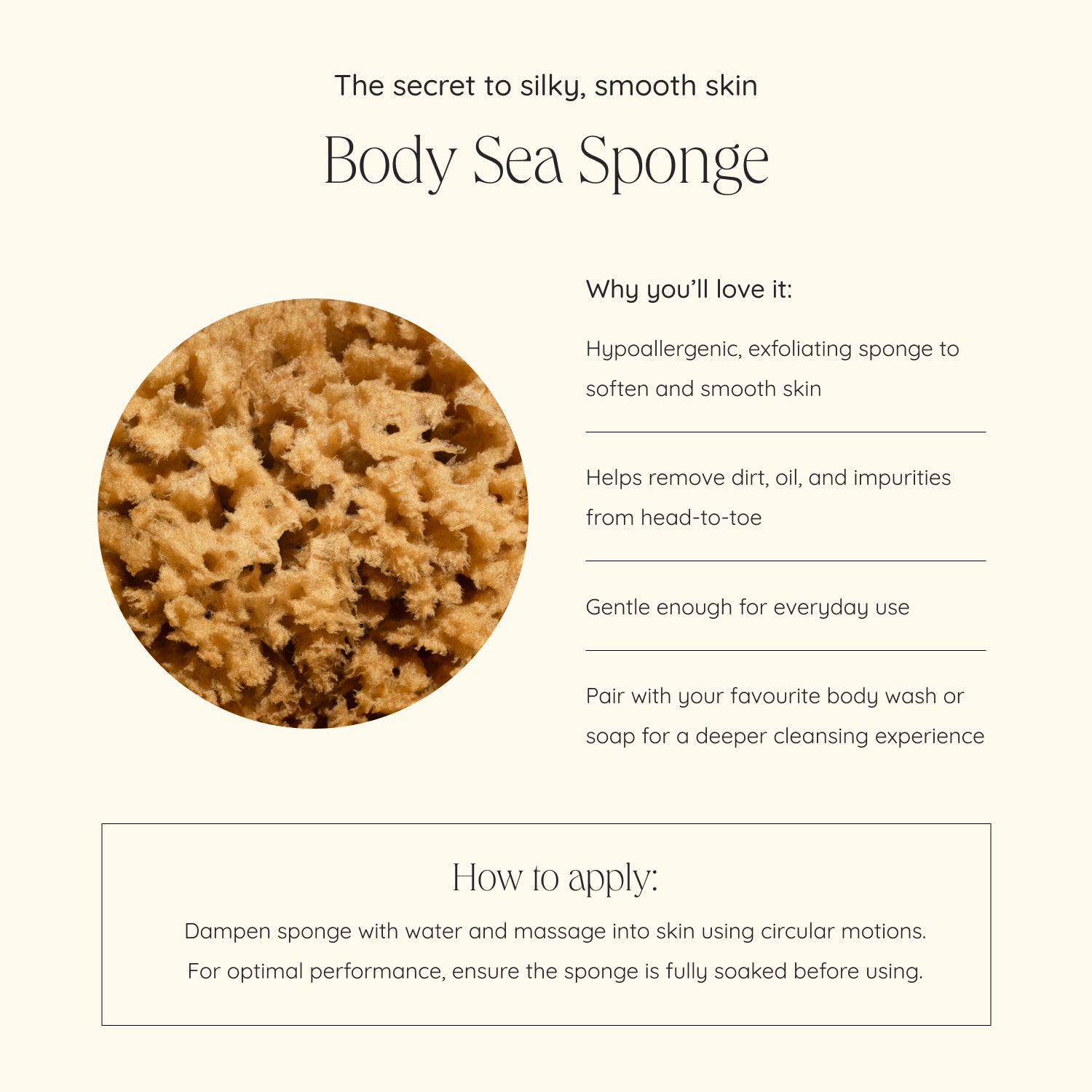 files/body_sea_sponge.jpg