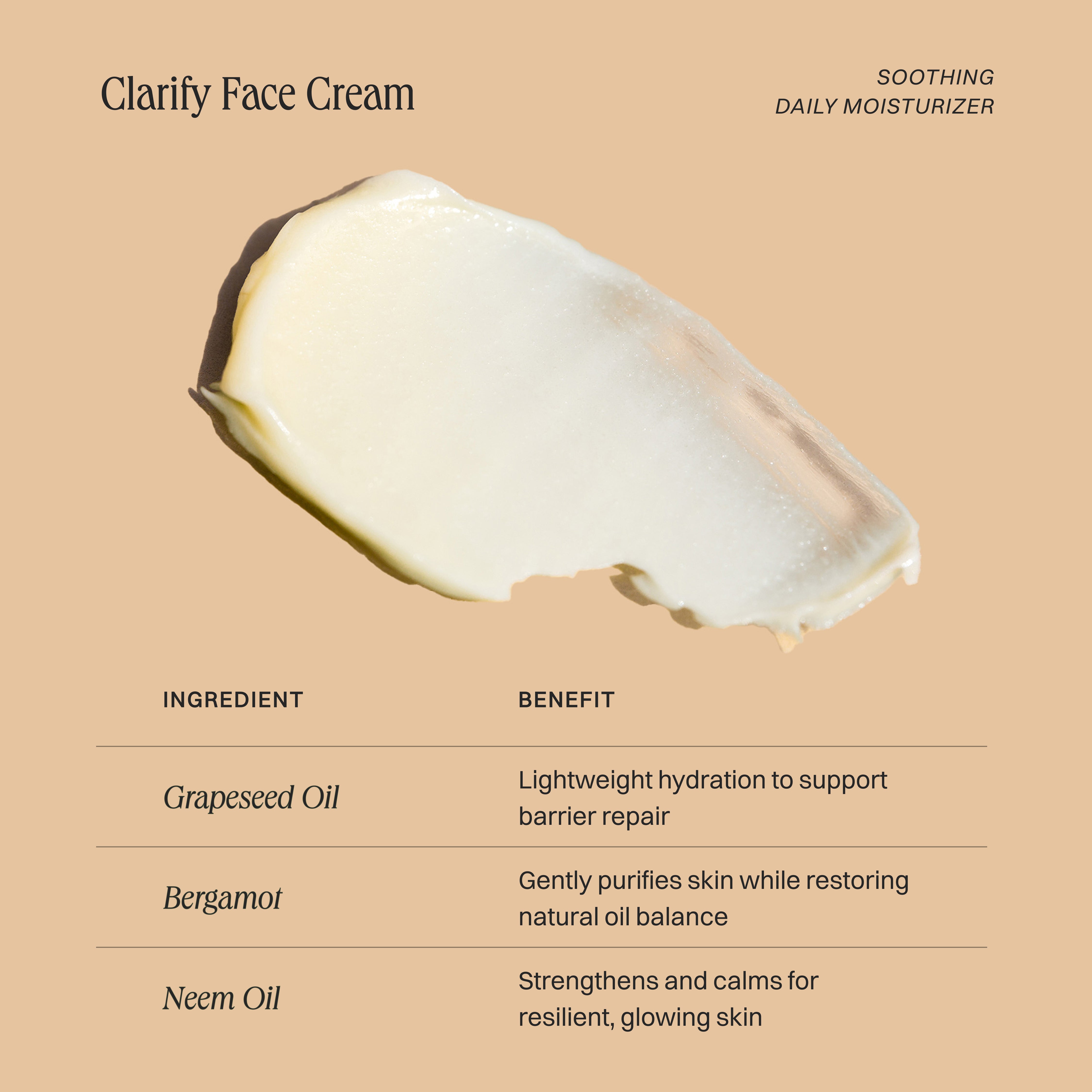 Clarify Face Cream - Wildcraft