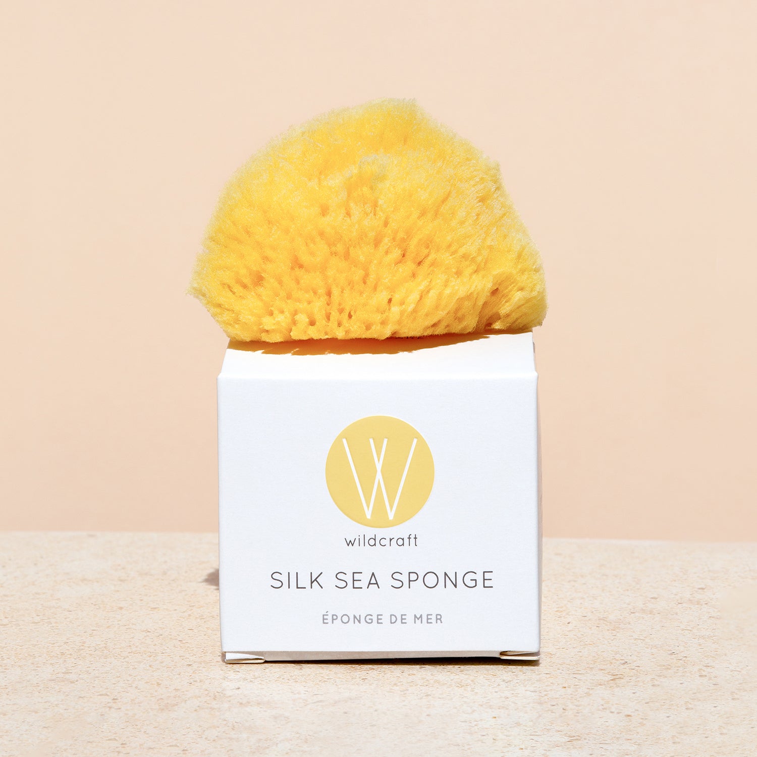 Silk Sea Sponge on a box